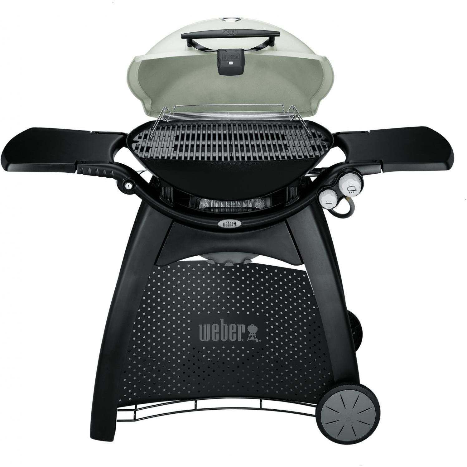 picknick Martin Luther King Junior Mars Weber Q 3200 Gas Grill - Titanium, Liquid Propane – BBQ Outfitters