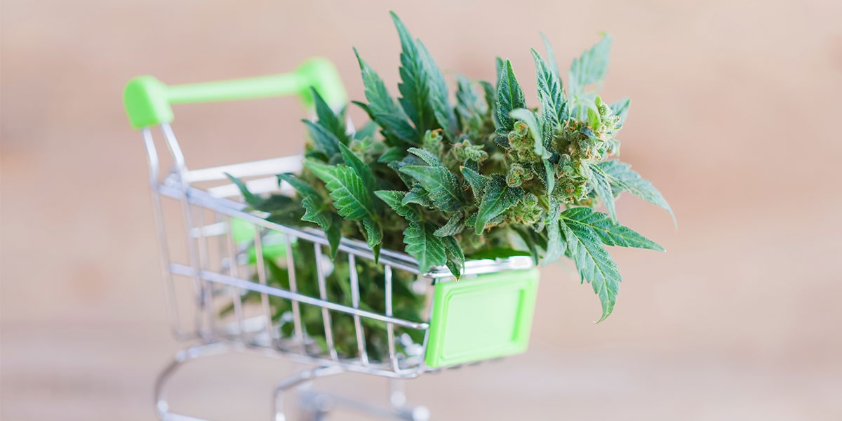 cannabis being purchased in tiny shopping cart