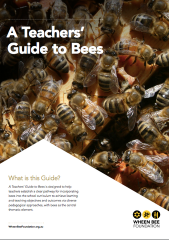 a teachers guide to bees