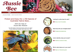 Aussie Bee Website 
