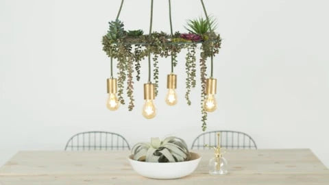 hanging succulent chandelier