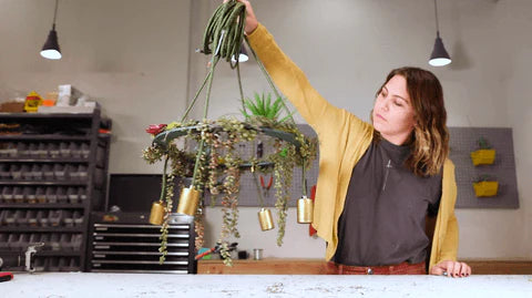 woman holding succulent chandelier