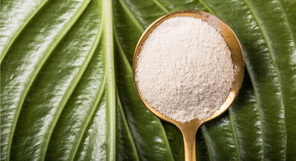 Poudre de peptides de collagène hydrolysés Codeage