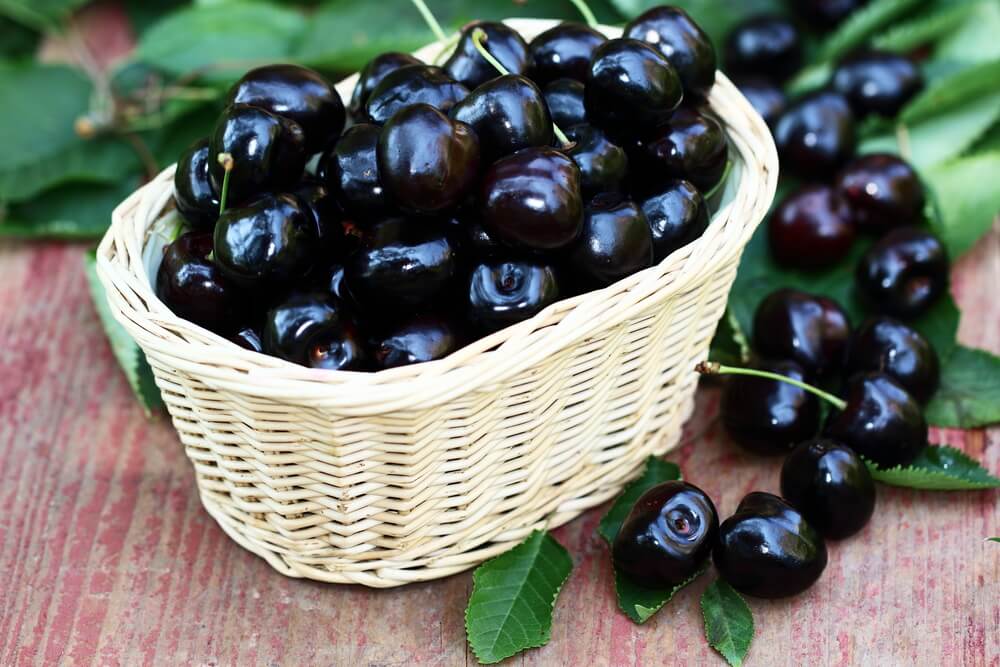 Black Cherry: The Sweet, Nutrient-Rich Fruit You Need to Know About