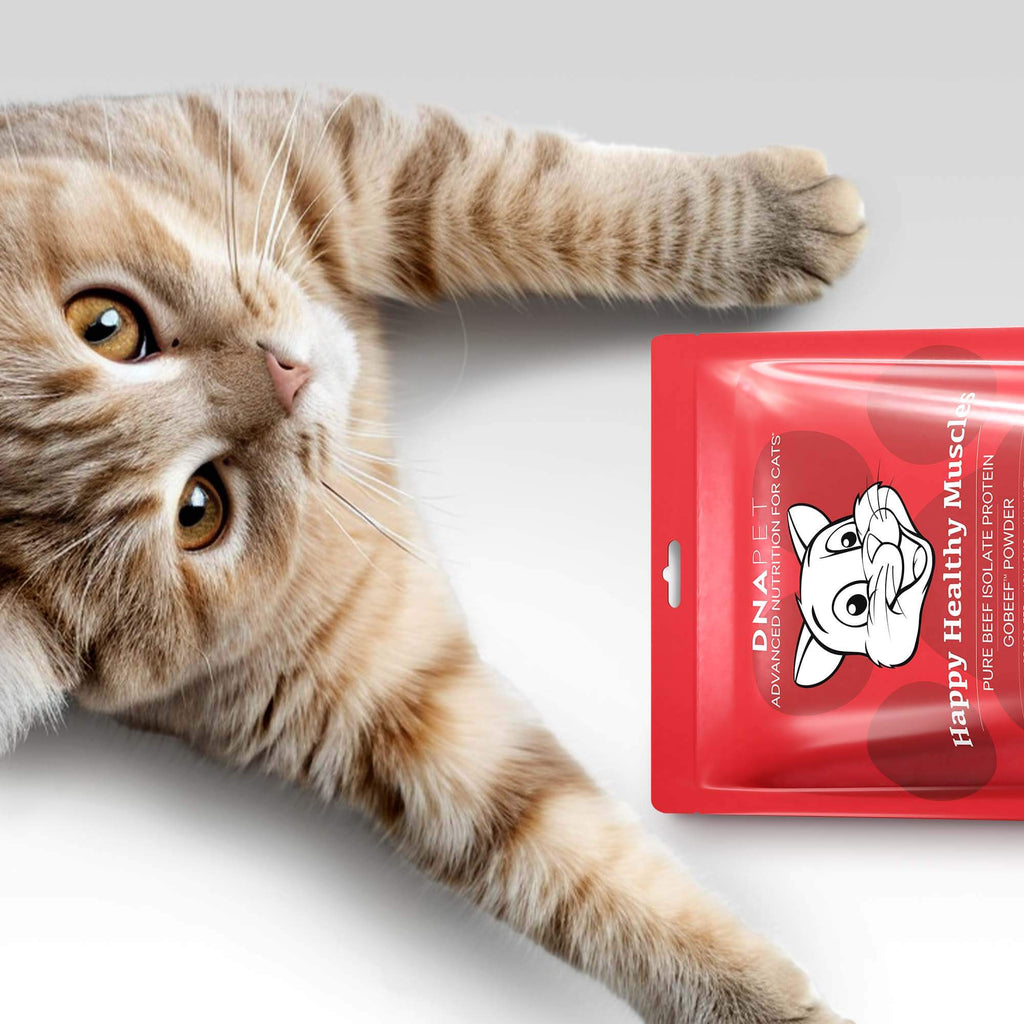 DNA PET Happy Healthy Muscles for Cats