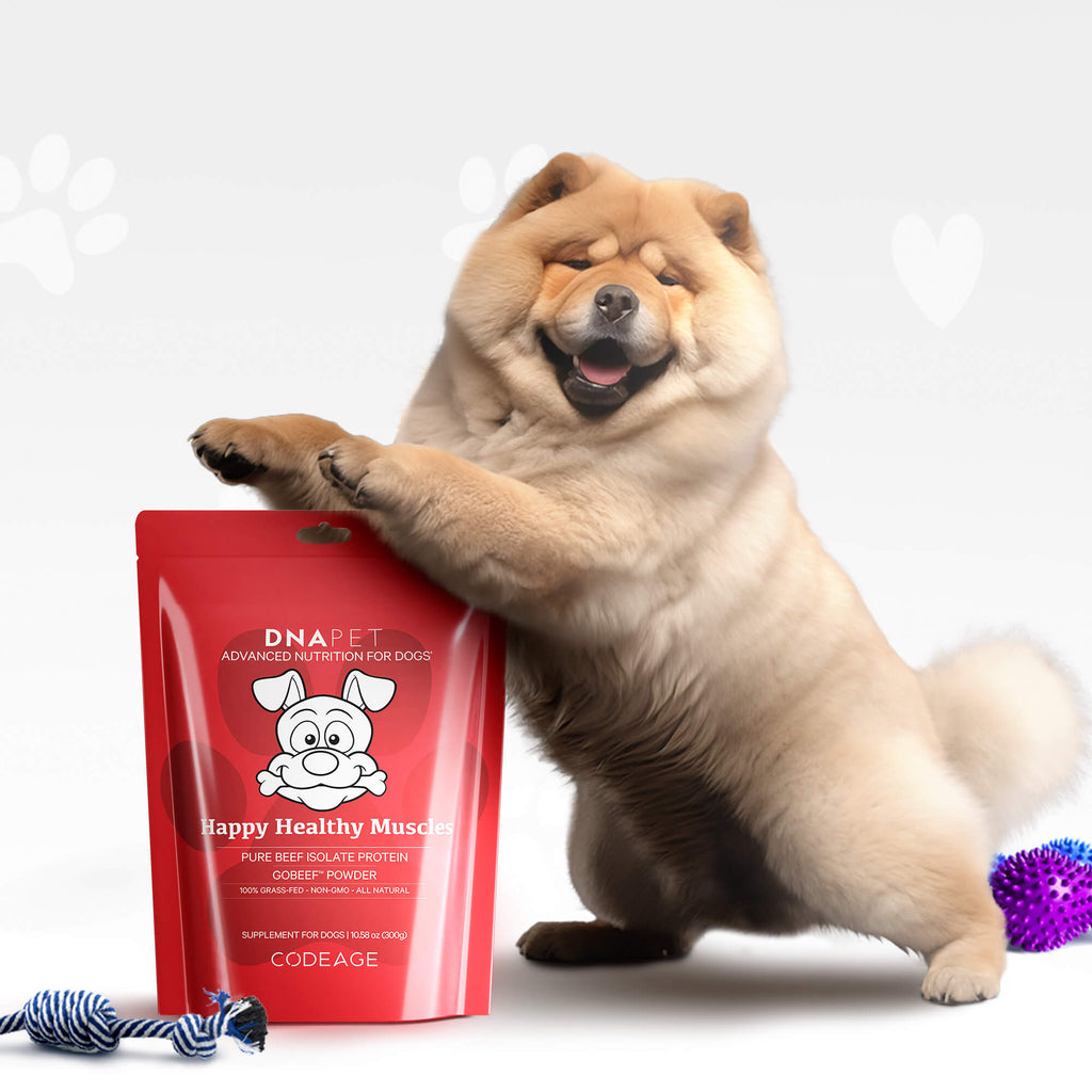 DNA PET Happy Healthy Muscles pour chiens