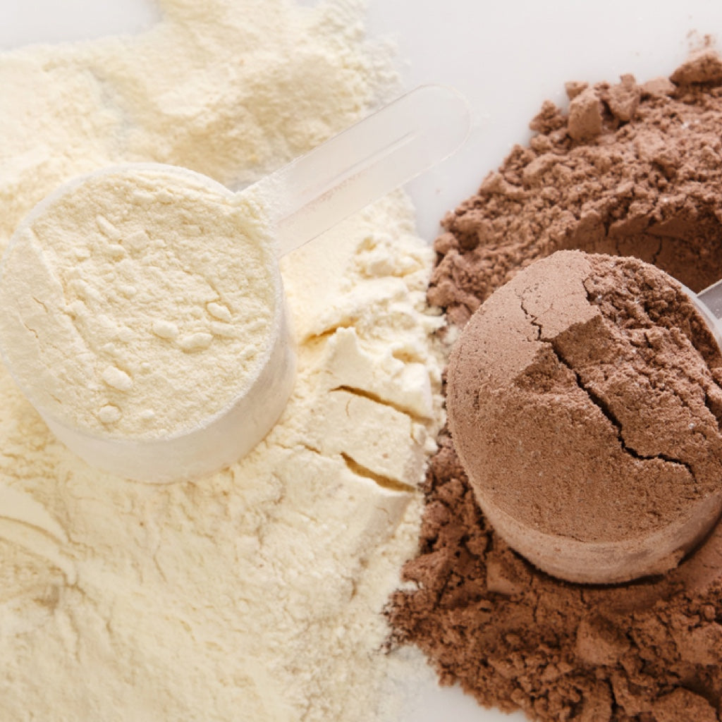 Flavored protein powders