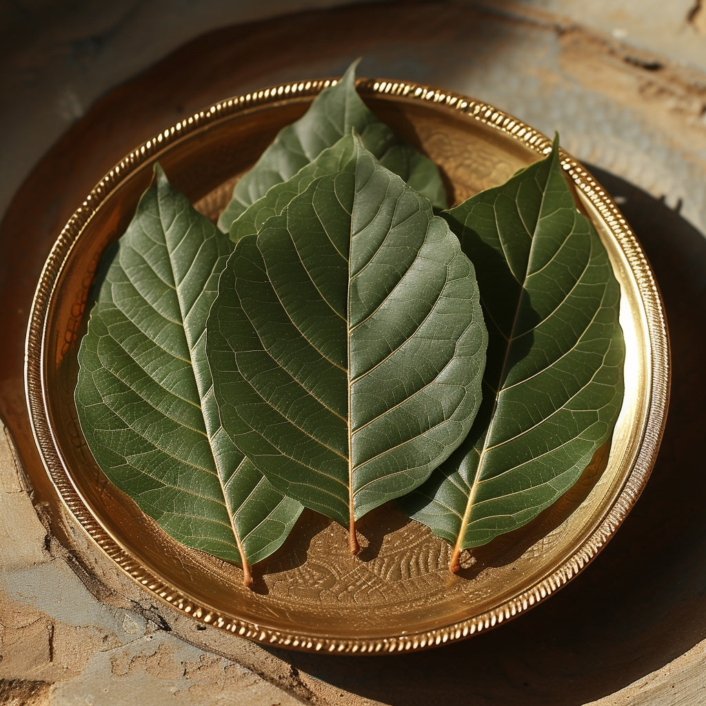 Haritaki Leaves