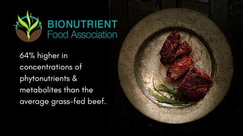 BioNutrient Food Association Nutrient Density Study - Carter Country ...