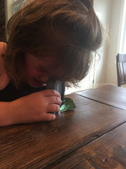 Girl looking through a microscope