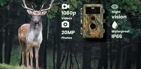 Our Blazevideo Hunting Cameras all have clear LCD screen to view photos and videos