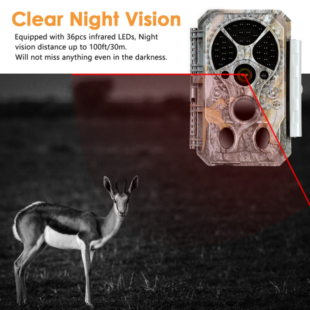 outdoor wildlife camera with night vision