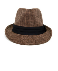 Fall/Winter Brown Trilby Fedora Hat