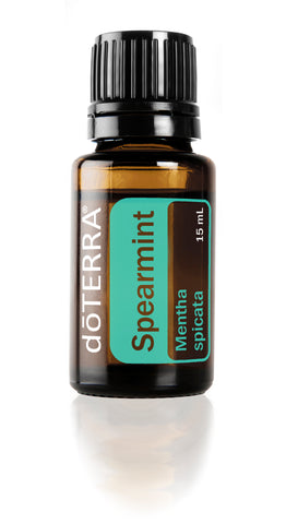 Spearmint  Mentha spicata