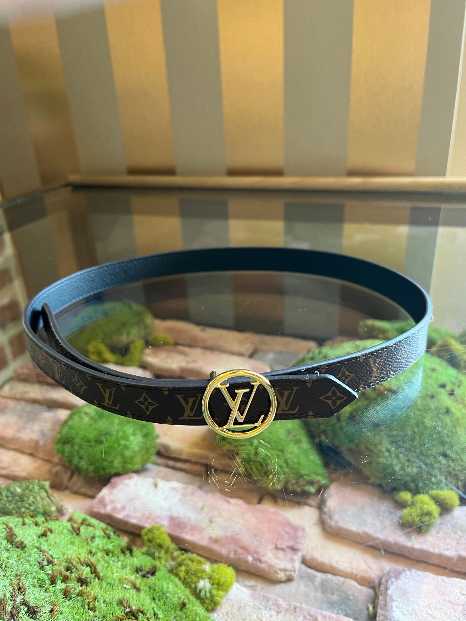 louis vuitton belt used