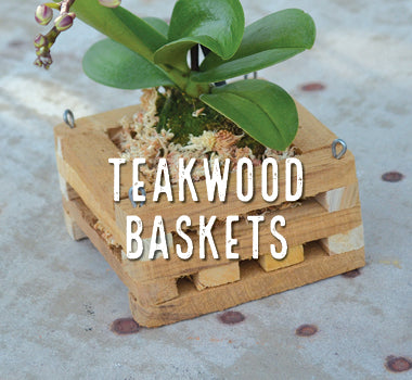 Teakwood Baskets - Big Grass Living