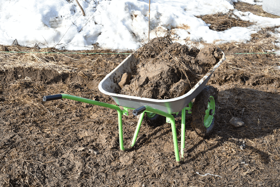 Before digging out your soil or dirt, plan on where to put or dispose of it.