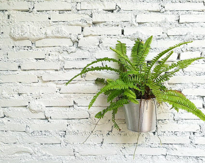 A Bucketful of Herbs | DIY your own Hanging Garden