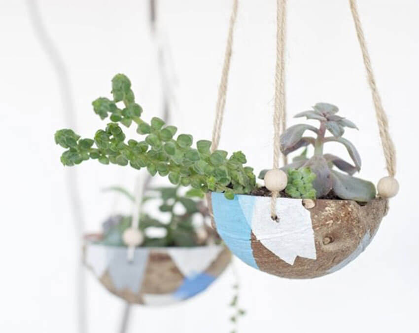 Go loco over coco | DIY your own Hanging Garden