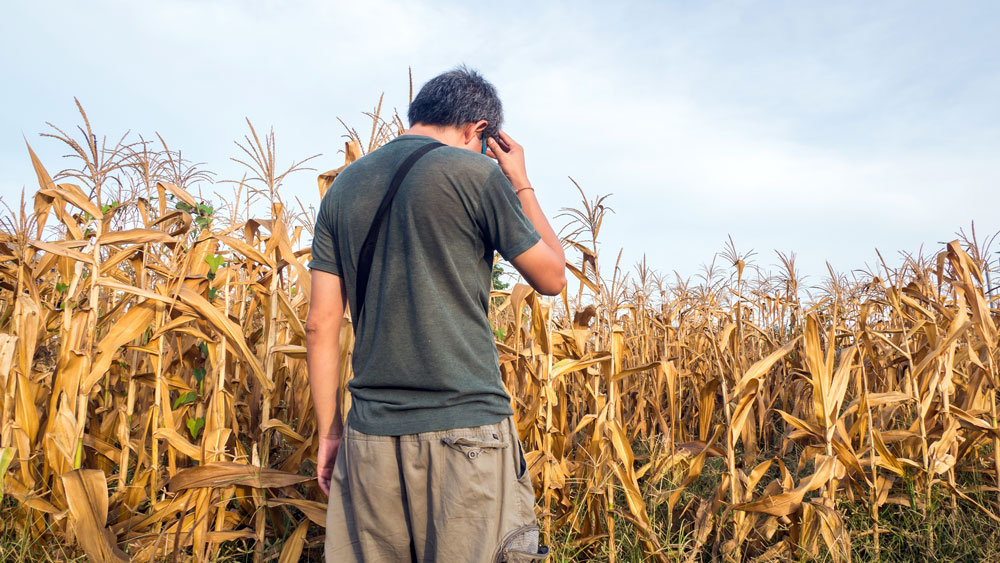 How does drought conditions affect people?