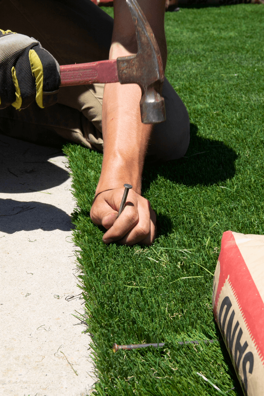 Moss Removal Guide RealTurf Artificial Grass Installation