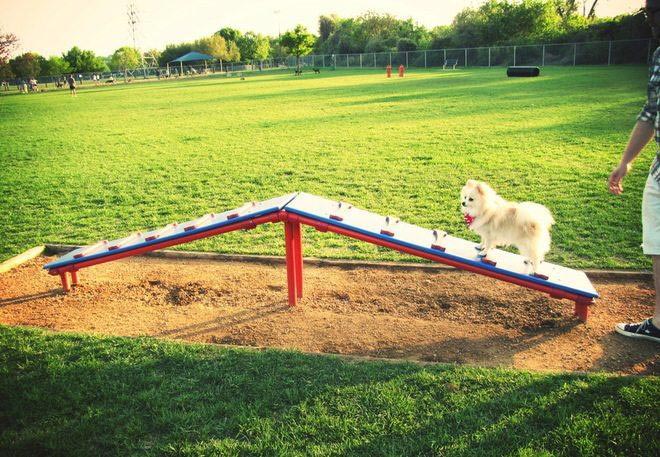 Easy to Make Play Equipment for Dogs  Dog playground, Dog backyard, Diy dog  stuff