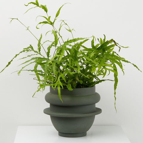 Sculptural Planter