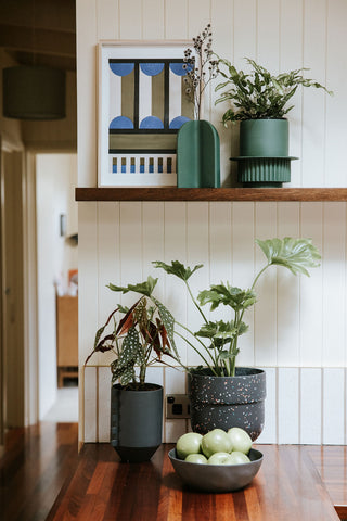 designer plant pots