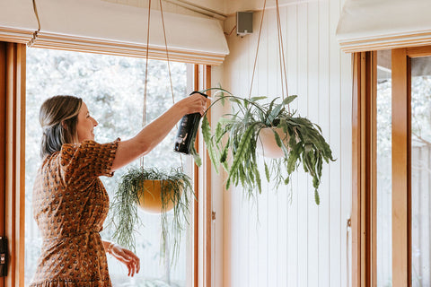 hanging planters