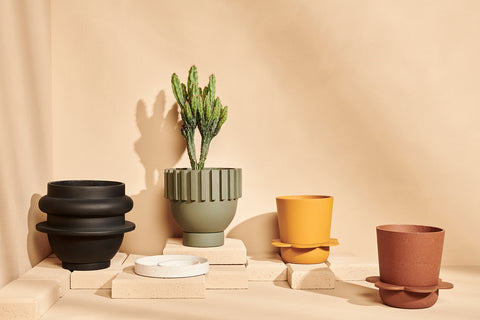designer plant pots
