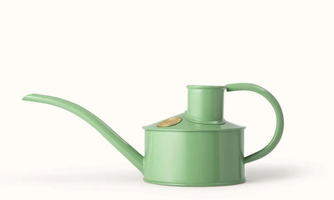 chic watering can