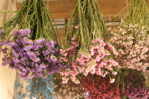 A bouquet of dried flowers