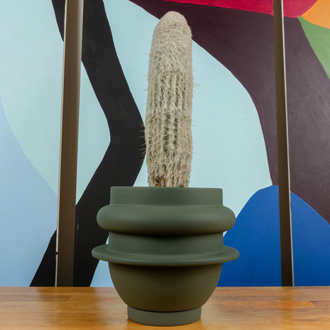 Bud Planter with cactus