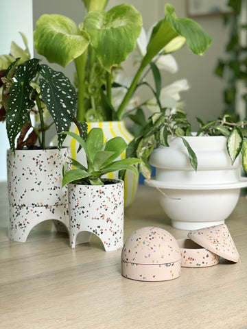 White Indoor Plant Pots | Shop Online