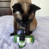 CBD olje for katter