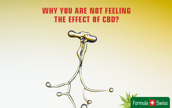 Reasons you are not feeling the effect of CBD