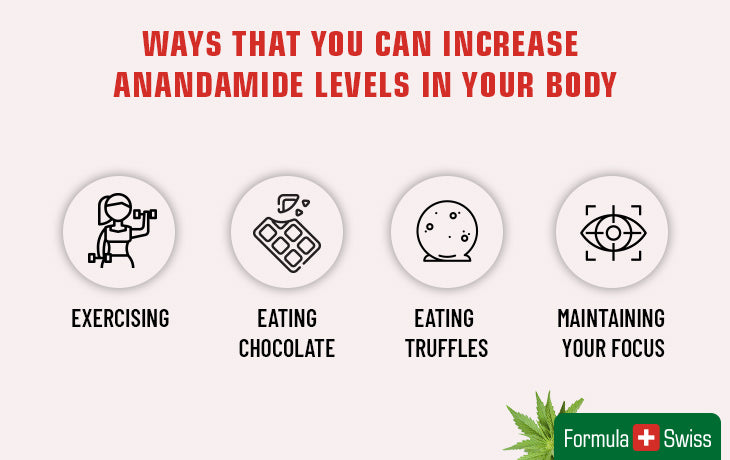 Tapoja lisätä anandamidimäärää kehossa