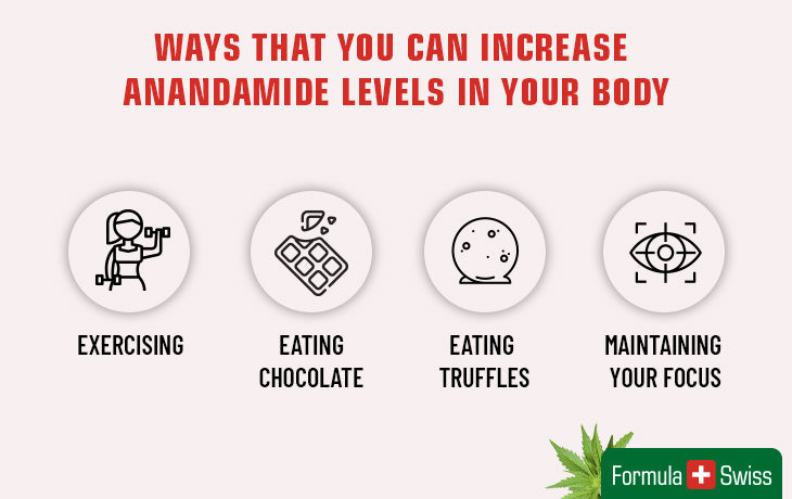 increase anandamide levels in your body