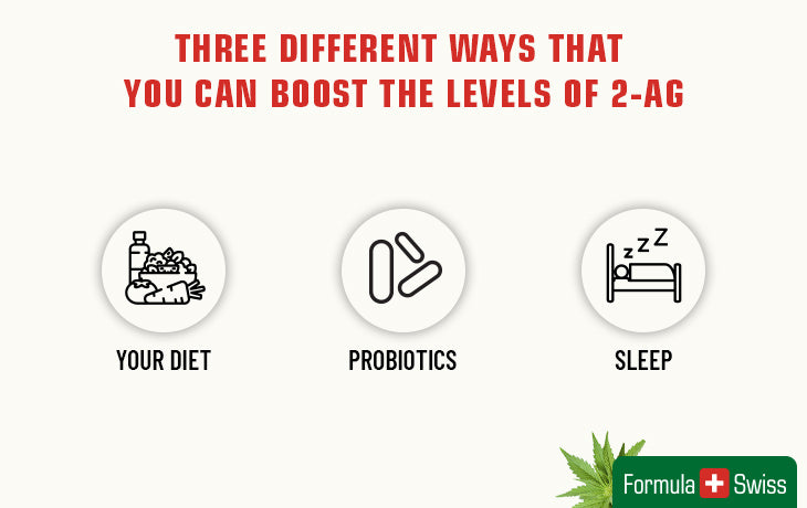 boost 2-AG levels