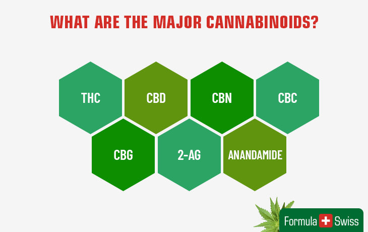 the main cannabinoids