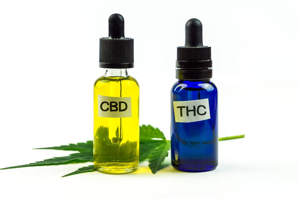 CBD and THC oil droppers with Cannabis sativa leaves.