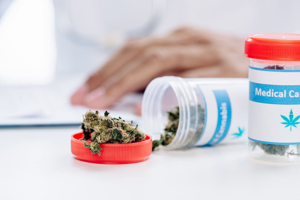 Cannabis sativa buds in medical container on desk with hands typing.