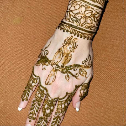 A woman showing off her beautiful henna tattoo on the back of her hand.