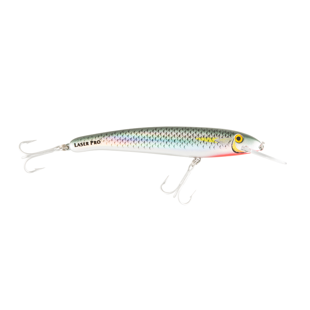 Halco Smiths Jig - Addict Tackle