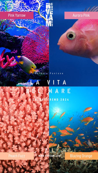 marine fauna fish and corals in Pantone 2024 colours