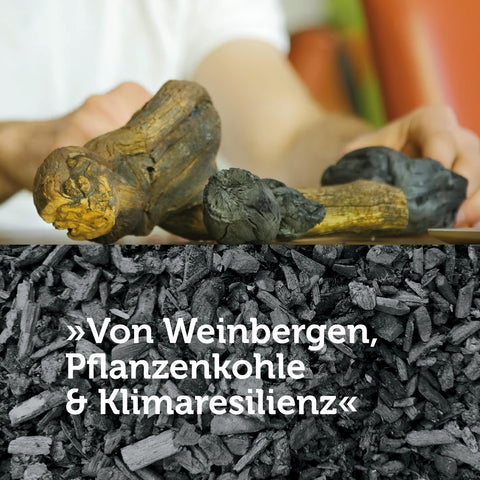 Klimawein