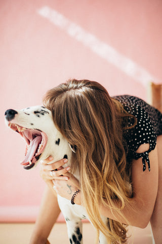 Brushing your dogs teeth