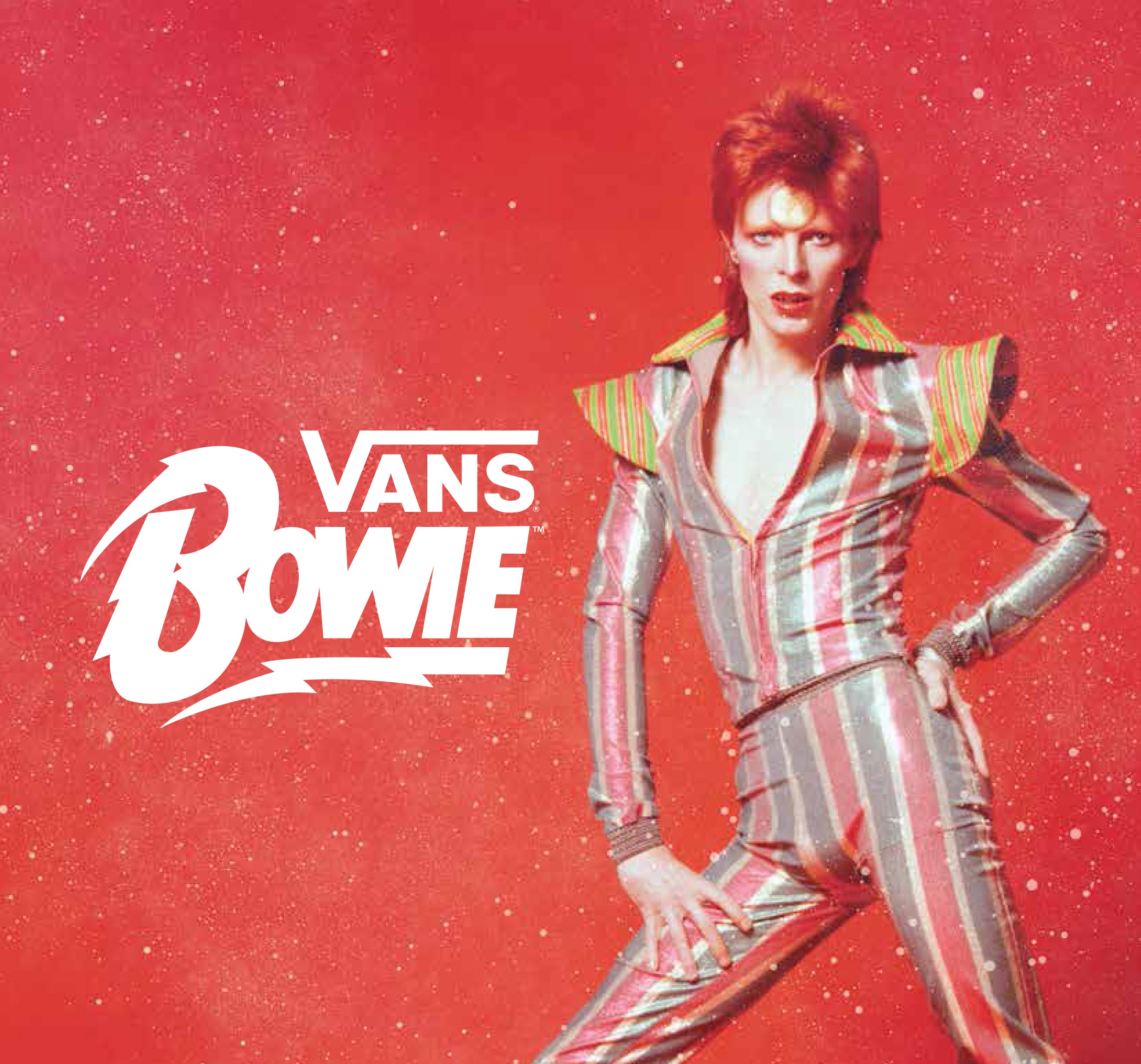 vans david bowie romania