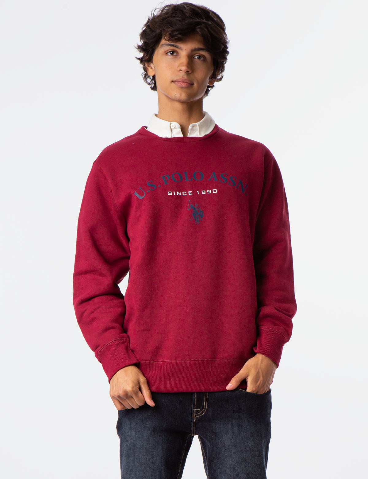 polo crewneck sweatshirt