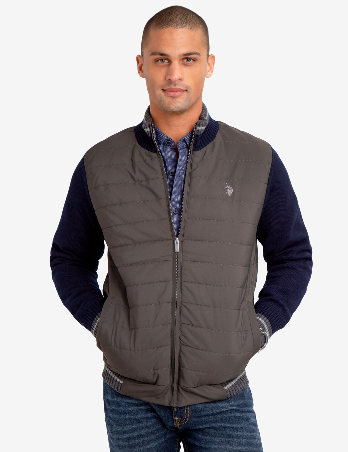 polo assassin jacket